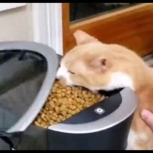 Meet your Posher, Ana